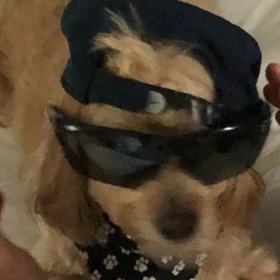 Profile Picture of Kyle Lucas (@kylelucas20011) on Twitter