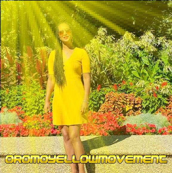 Profile Picture of Lelise suna Negeri (@lelisedesalegn) on Poshmark