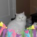Profile Picture of Cathy Goad (@cathy.goad.7) on Facebook