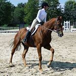 Profile Picture of Alexis Schmidt (@alexis.zilkerpark) on Instagram