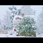 Profile Picture of Sylvia Xue (@xue1853) on Instagram