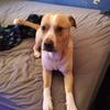 Profile Picture of Seth Randolph (@@sethrandolph27) on Tiktok