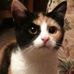 Profile Picture of Elizabeth Houston (Elizabeth Gibbs) (@elizabeth.houston.37) on Facebook
