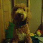 Profile Picture of lane bradley cramer (@catsamurruii27) on Instagram