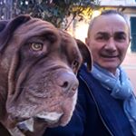 Gino Carbone - Instagram Profile Picture of Gino Carbone (@gino.carbone) on Instagram
