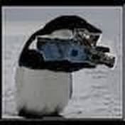 Profile Picture of PenguinProseMedia (@PenguinProseMedia) on Youtube