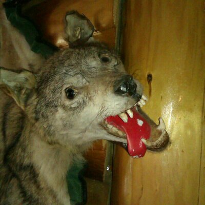 Profile Picture of Patrick Huth (@194ribak) on Twitter