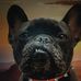 Profile Picture of Tim Stotts (@tim.stotts.1) on Facebook