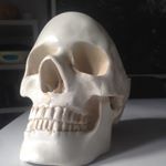 Profile Picture of Paul Tarpey (@paul.tarpey) on Instagram