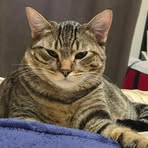 Profile Picture of Leah Balzer (@Leah-Balzer) on Facebook