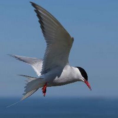 Profile Picture of Michael Polack (@michaelpolack1) on Twitter