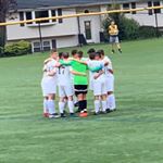 Profile Picture of Michael Benevento (@michaelbenevento4) on Instagram