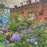 Profile Picture of Stella Kwon (@kwon.stlla) on Instagram