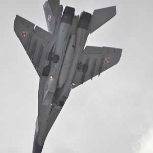 Profile Picture of tom (@thomaswendlandt) on Tiktok