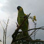 Profile Picture of Lisa Barrientos (@lisabtos201) on Instagram