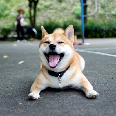 Profile Picture of Eddie Tsui (@chuanhaotsui) on Twitter