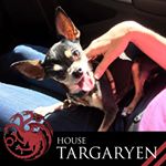 Profile Picture of Brian Andrew Matlock (@brian.a.matlock.7) on Instagram