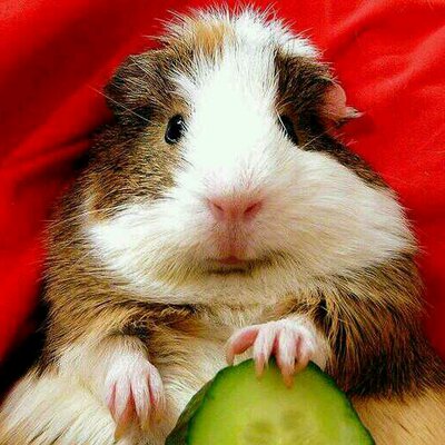 Profile Picture of Herman Devin (@HermanDevin78) on Twitter