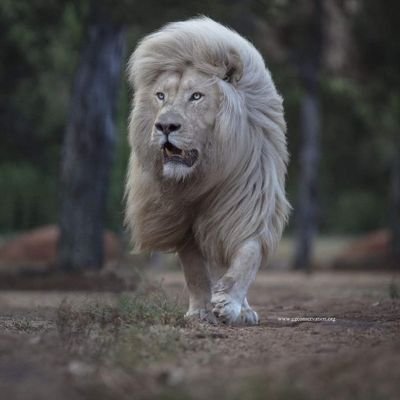 Profile Picture of Wilder León Osorio (@WilderLenOsori1) on Twitter