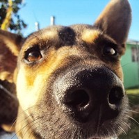 Profile Picture of Basil Carter (@basil-carter) on Quora