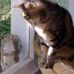Profile Picture of Alison Armbruster (@alison.armbruster.9) on Facebook