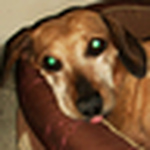 Profile Picture of Clarissa Lugo (@kikika2013) on Flickr