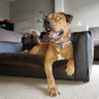 Profile Picture of Dee Ochoa (@dee-ochoa-6) on Quora