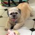 Profile Picture of Kathy Baker (@kathy.baker.3382) on Facebook