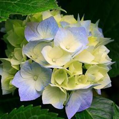 MELISSA ALISON OWEN - Twitter Profile Picture of MELISSA ALISON OWEN (@melissaprowse30) on Twitter