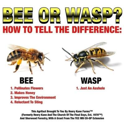 Profile Picture of Gavinmclendon (@gavinmclendon) on Twitter