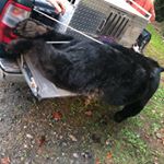 Profile Picture of Michael Crowder (@crowder26) on Instagram