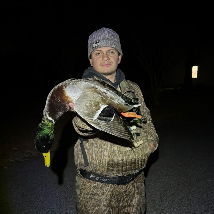 Profile Picture of David Reeves (@davidreeves92) on Tiktok