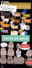 Profile Picture of   TikTok de Maite Pérez... (@uwu._.caf) on Tiktok