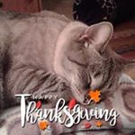 Profile Picture of Pat (@pat.settle2017) on Instagram