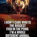 Profile Picture of Christopher Bowron (@christopher.bowron.355) on Facebook