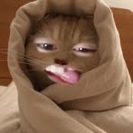 Profile Picture of John Ian Baylon (@John-Ian-Baylon) on Facebook