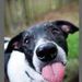 Profile Picture of Galen Groff (@galen0783) on Pinterest