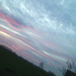 Thessa Celine Leißring - Instagram Profile Picture of Thessa Celine Leißring (@vip_thessa) on Instagram