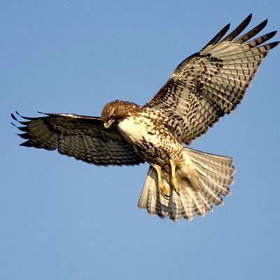 Profile Picture of Jarrett Foster (@2091asdf) on Twitter