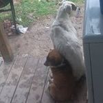 Profile Picture of Braydon Swanger (@braydonswanger) on Instagram