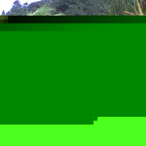 Profile Picture of Ahmad Tarmizi (@mizi_kulim) on Myspace