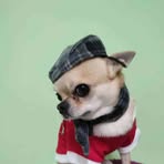 Profile Picture of Danuta Lewicka (@danuta.lewicka.35) on Facebook