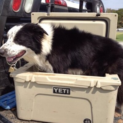 Profile Picture of Michael Thornberry (@MichaelThornber) on Twitter