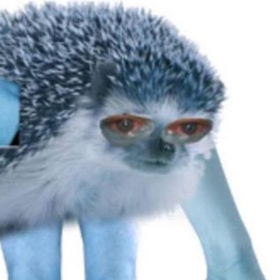 Profile Picture of Young Telko (@yamiehrenlos) on Twitter