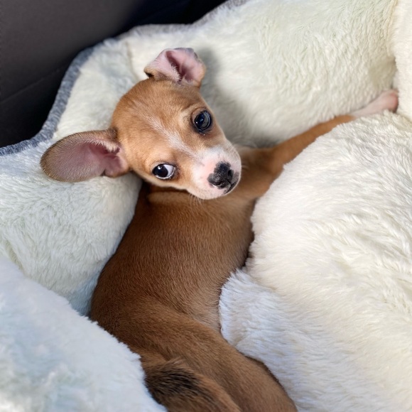 Jaycee Jones - Poshmark Profile Picture of Jaycee Jones (@jayceejones227) on Poshmark