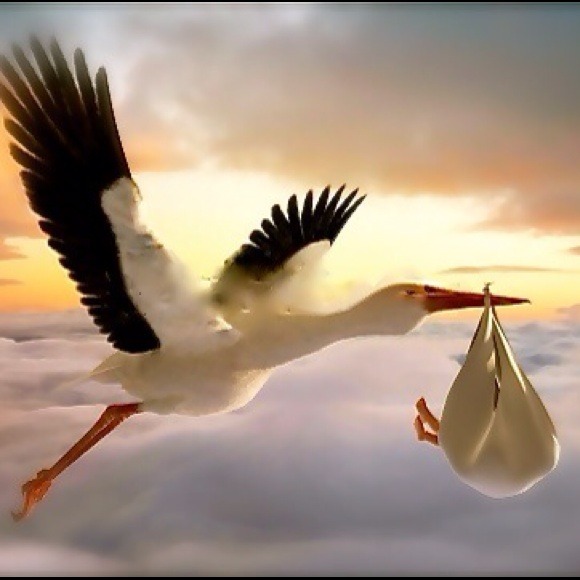 Profile Picture of Cyndi Nestel (@cansark) on Poshmark