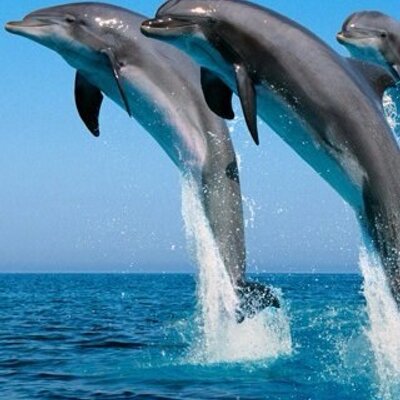 Profile Picture of Deva Moore (@DevaMoore2005) on Twitter