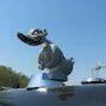 Profile Picture of Christopher Simon Mcdonnell (@christophersimonmcdonnell) on Instagram