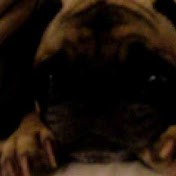 Profile Picture of Jeff Kuhn (@jckuhn9104) on Youtube