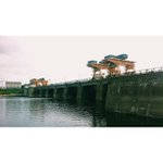 Profile Picture of Daniel Costigan (@trainghho) on Instagram